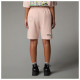 The North Face Ανδρικό σορτς Mountain Cleanup Relaxed Shorts